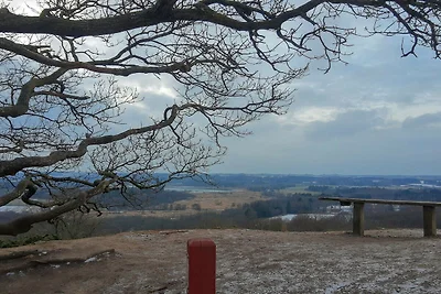 8 persone case ad Gjern-By Traum