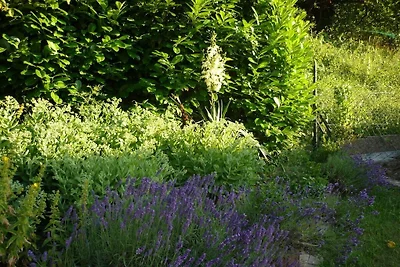 Ferienhaus in Oberfell mit Schwimmbecken