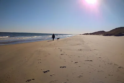 Maison de vacances pour 2 a Skagen-By Traum