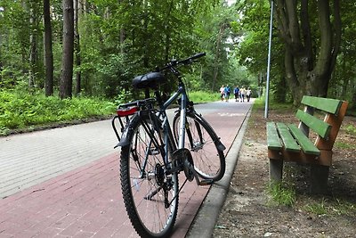 Ferienhäuser, Przewloka bei Ustka