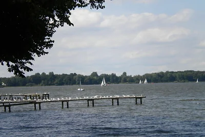 Ferienwohnung in Jade mit Schwimmbecken