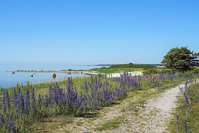 8 persone case ad GOTLANDS.TOFTA