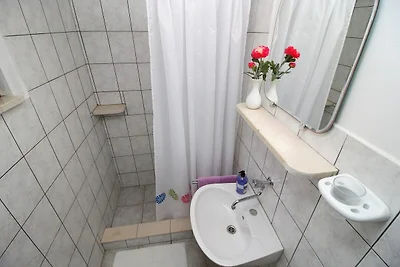 Green Area Stone House