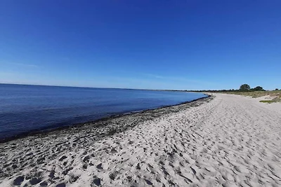 Maison de vacances pour 10 a Væggerløse-By...
