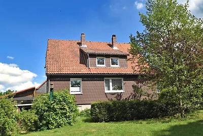 Gemütliche Ferienwohnung in Braunlage in...