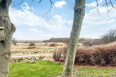 4 sterren vakantie huis in Bagenkop