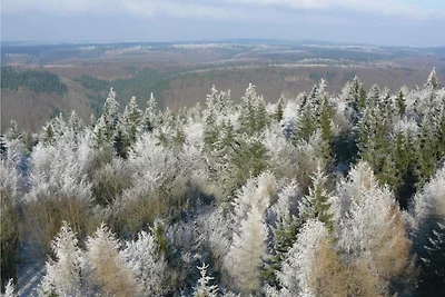 In der Region (Winter) (>5 km) In der Region (Winter) (>5 km)