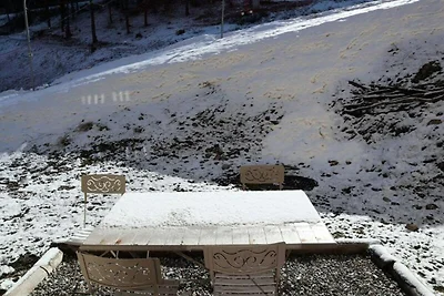 Herbstkrokusse Nr. C208