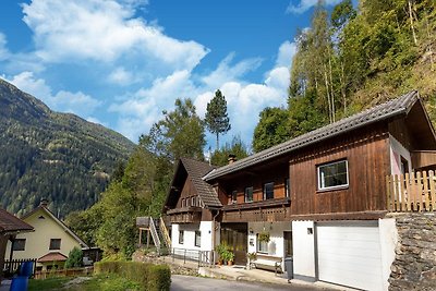 Ferienwohnung in Feld am See in Kaernten