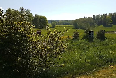 4 Sterne Ferienhaus in MALMKÖPING-By Traum