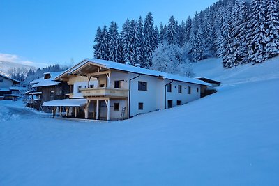 Großzügiges Ferienhaus in Skigebietsnähe in...