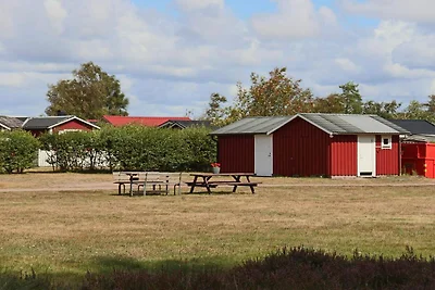 4 Personen Ferienhaus in Skummeslövsstrand