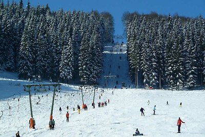 Mooi vakantiehuis bij het skigebied