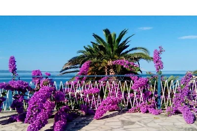Apartments and Rooms Juradin - One Bedroom Ap...