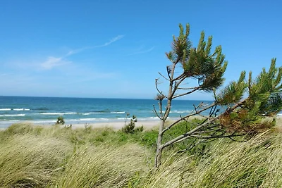 8 Personen Ferienhaus in Rørvig-By Traum