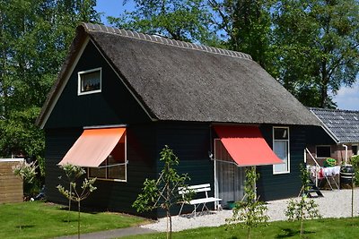 Wunderschönes Ferienhaus in Giethoorn mit...