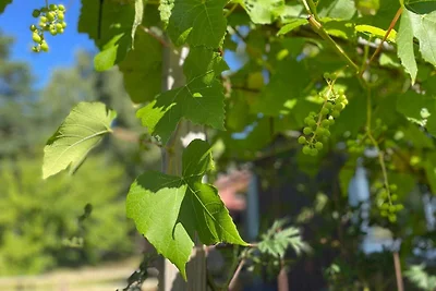 4 Personen Ferienhaus in UDDEVALLA-By Traum