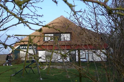 Gemütliche Ferienwohnung auf Texel