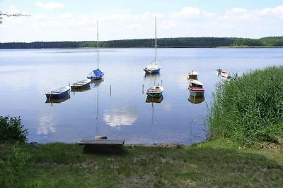 Ferienhaus Reet am Useriner See
