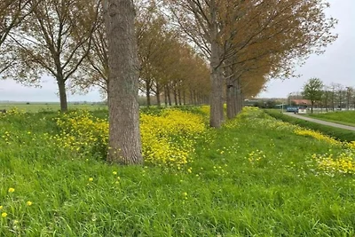 Heerlijk vakantiehuis aan het water met tuin