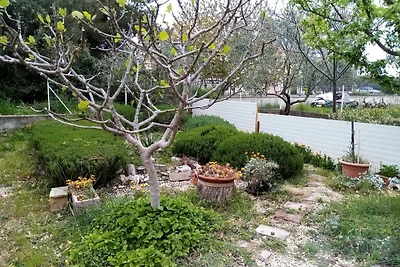 Apartments Vanja Škara Biograd - Studio Apart...