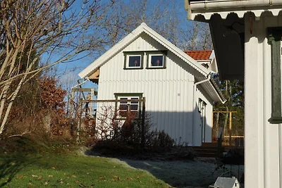 4 Personen Ferienhaus in Tanumshede