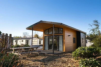 Ferienhaus in Biddinghuizen mit Terrasse