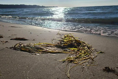 7 Personen Ferienhaus in Asnæs-By Traum