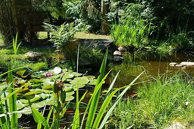 Vakantiehuis met 3 slaapkamers