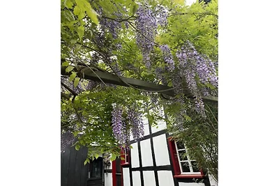 Noah -Seeleben auf Zeit