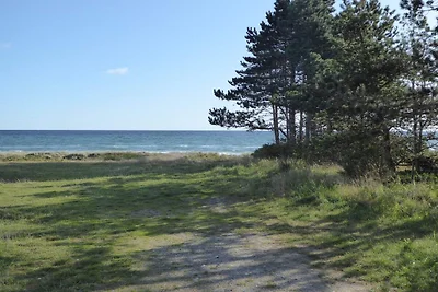 4 Personen Ferienhaus in Ebeltoft-By Traum