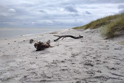 Meeresruhe in Lyngsa-By Traum