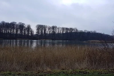 7 persone case ad Svendborg-By Traum