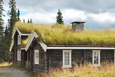 12 Personen Ferienhaus in Fåvang-By Traum