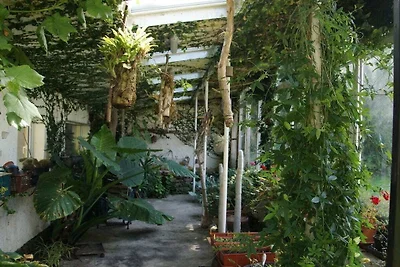 Ferienhaus mit 1 Schlafzimmer