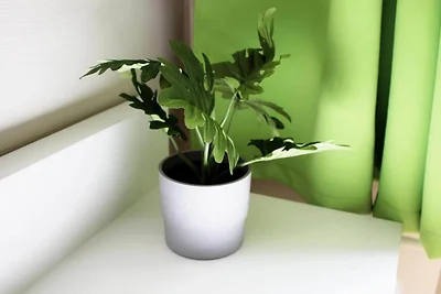 Habitación individual del Hotel Bendorf by...