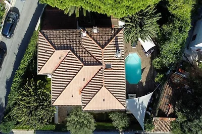Villa a Cannes con piscina e giardino Bliss