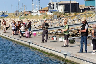 8 Personen Ferienhaus in Ringkøbing-By Traum