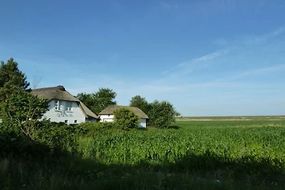Witthuis - Perla sulla diga