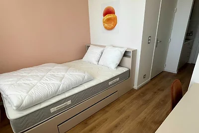 Vakantiehuis Ontspannende vakantie Mulhouse