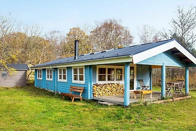 4 Personen Ferienhaus in Læsø