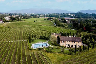 Cascina a Lucca con piscina e vigneti