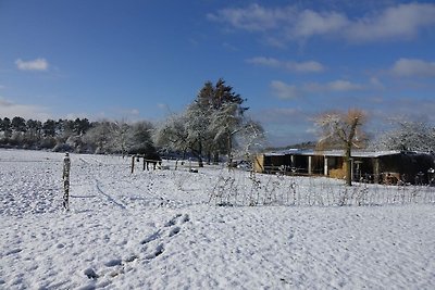 Villa moderna a Rochefort vicino ai cavalli