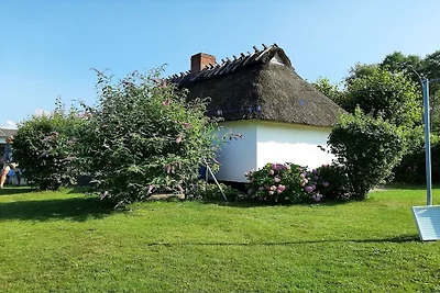 Ferienhaus mit 1 Schlafzimmer