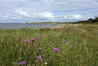 6 Personen Ferienhaus in Nykøbing M-By Traum