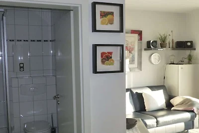 Apartament wakacyjny z 1 sypialnią