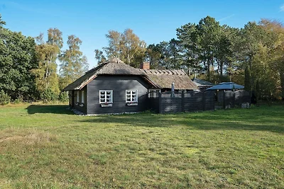 6 Personen Ferienhaus in Rødby-By Traum
