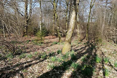 Prachtig chalet bij het bos in Saint-Léger