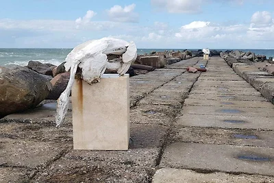 5 Personen Ferienhaus in Vestervig-By Traum