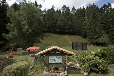 Weissenbach in vakantiehuis Schenk